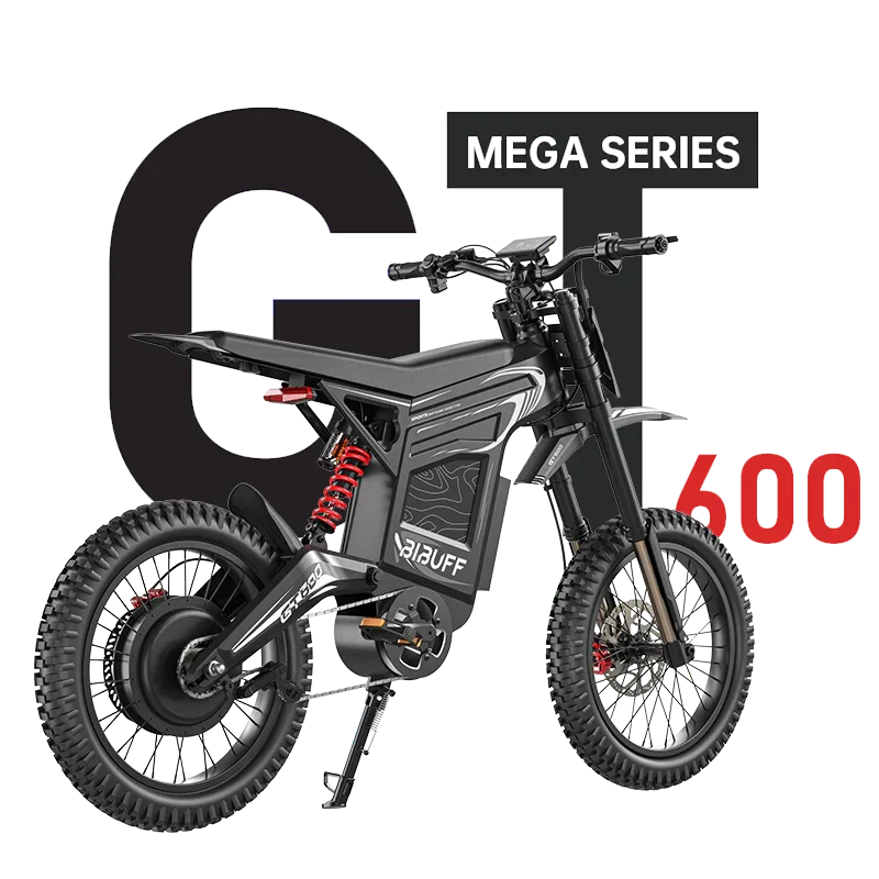 GT600 Electric Bike